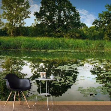 Self-adhesive photo wallpaper - The Magic Pond