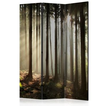 3-partition divider - Coniferous forest [Room Dividers]