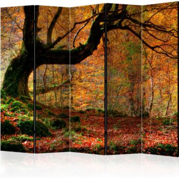 Διαχωριστικό με 5 τμήματα - Autumn, forest and leaves II [Room Dividers]