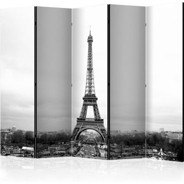 Διαχωριστικό με 5 τμήματα - Paris: black and white photography [Room Dividers]