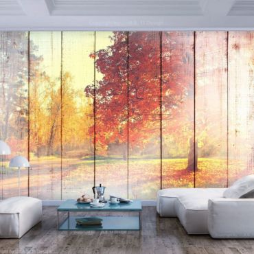 Self-adhesive photo wallpaper - Autumn Sun