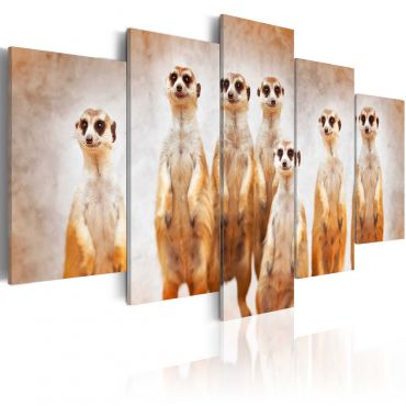 Πίνακας - Family of meerkats