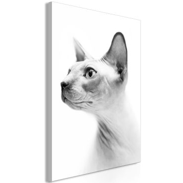 Πίνακας - Hairless Cat (1 Part) Vertical