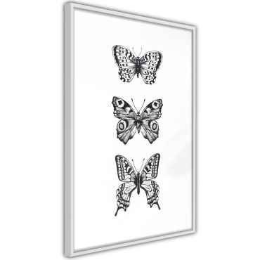 Αφίσα - Butterfly Collection III A