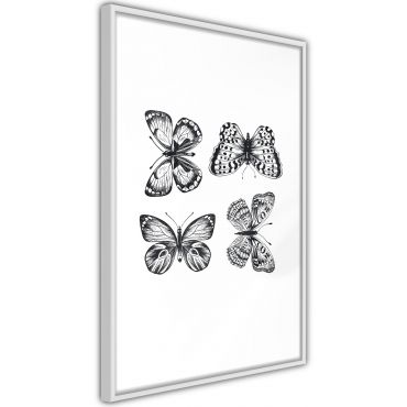 Αφίσα - Butterfly Collection III B