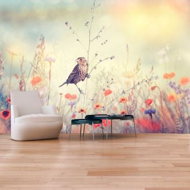 Self-adhesive photo wallpaper - Field Bird