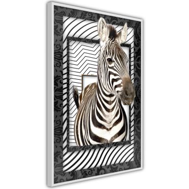 Αφίσα - Zebra in the Frame