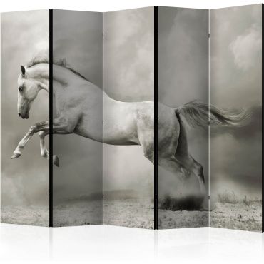 Divider with 5 sections - Wild Stallion II [Room Dividers]