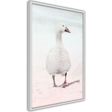 Αφίσα - Walking Goose