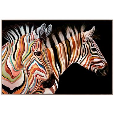 Πίνακας Color Zebra