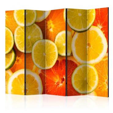 Διαχωριστικό με 5 τμήματα - Citrus fruits II [Room Dividers]