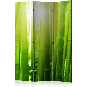 Διαχωριστικό με 3 τμήματα - Sun and bamboo [Room Dividers]
