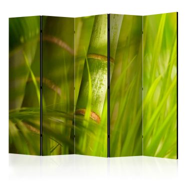 5-section divider - bamboo - nature zen II [Room Dividers]