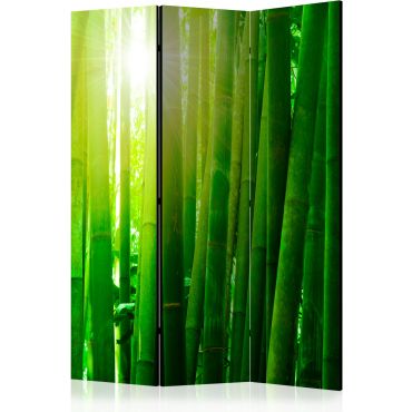 3-part divider - Sun and bamboo II [Room Dividers]