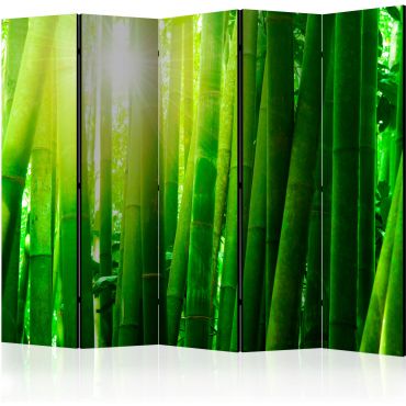 Διαχωριστικό με 5 τμήματα - Sun and bamboo II [Room Dividers]