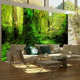 Wallpaper - Jungle