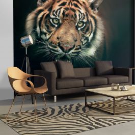 Φωτοταπετσαρία - Bengal Tiger