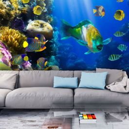 Wallpaper - Underwater paradise