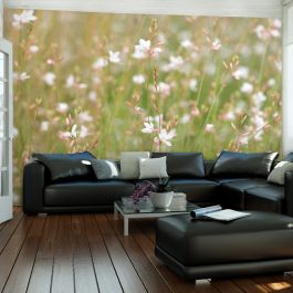 Wallpaper - White delicate flowers