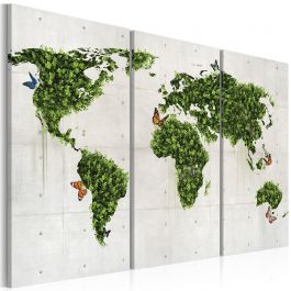 Canvas Print - Green land of butterflies - triptych