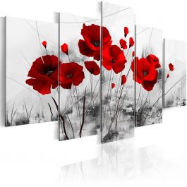 Canvas Print - Poppies - Red Miracle