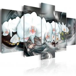 Canvas Print - Magical Orchid