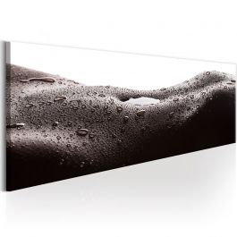 Canvas Print - Erotic Landscape