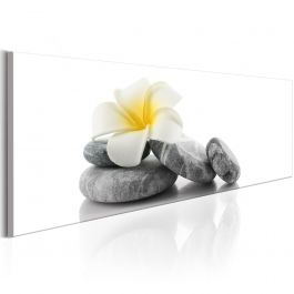 Canvas Print - White Lotus