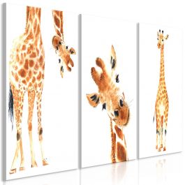 Canvas Print - Funny Giraffes (3 Parts)