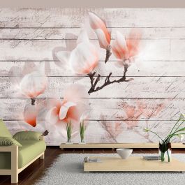 Wallpaper - Subtlety of the Magnolia