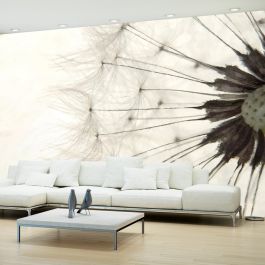 Wallpaper - White Dandelion
