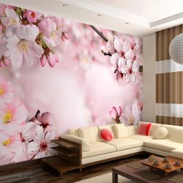 Wallpaper - Spring Cherry Blossom