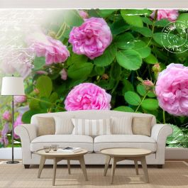 Wallpaper - Summer garden