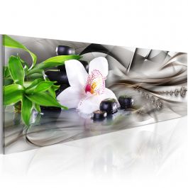 Table - Zen composition: bamboo, orchid and stones
