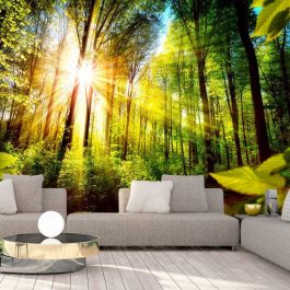 Self-adhesive photo wallpaper - Forest Hideout