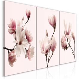 Πίνακας - Spring Magnolias (3 Parts)