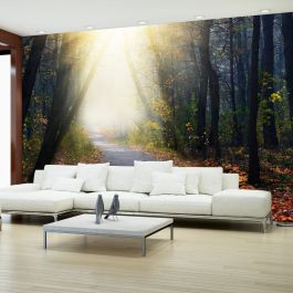 Self-adhesive photo wallpaper - Road through the Forest