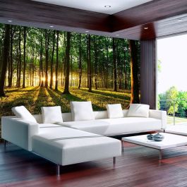 Self-adhesive photo wallpaper - Spring: Morning in the Forest