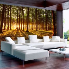 Self-adhesive photo wallpaper - Summer: Morning in the forest