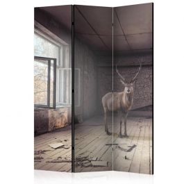 3-partition divider - Lost [Room Dividers]