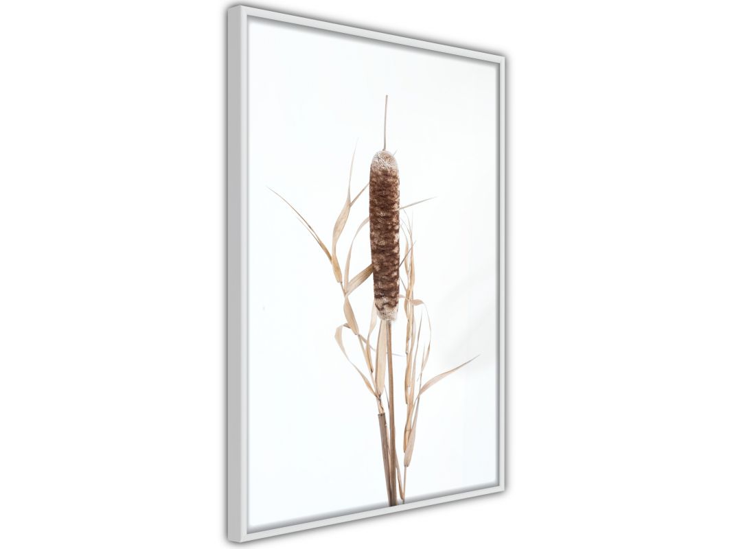 add-to-cart-sticky-tocart-image